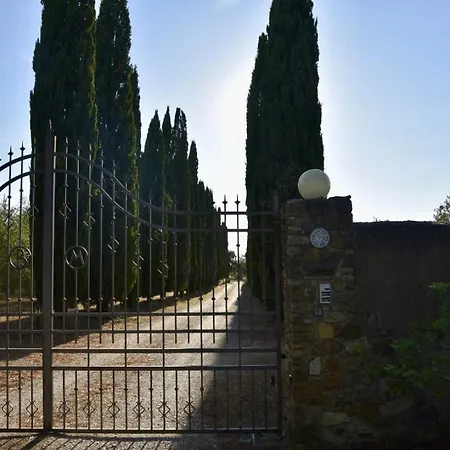 Madrechiesa * Scansano