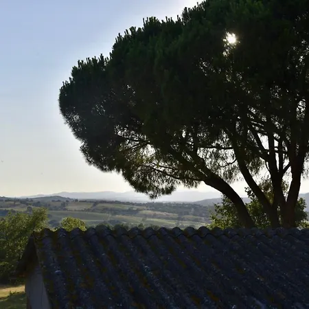 Madrechiesa *