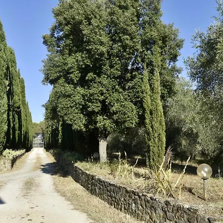 Madrechiesa * Scansano